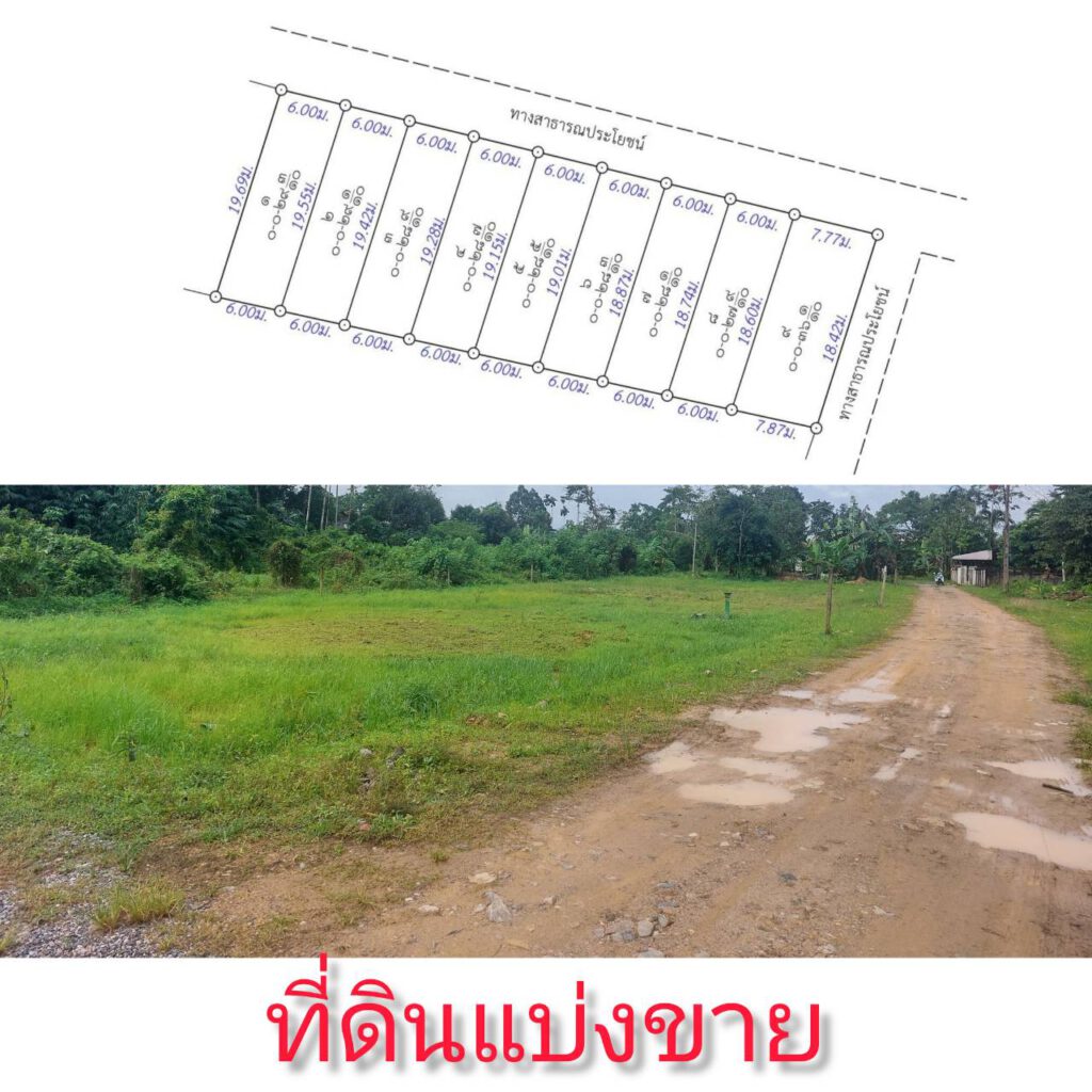 ต้องการซื้อ ต้องการขาย บ้าน ที่ดิน คอนโด